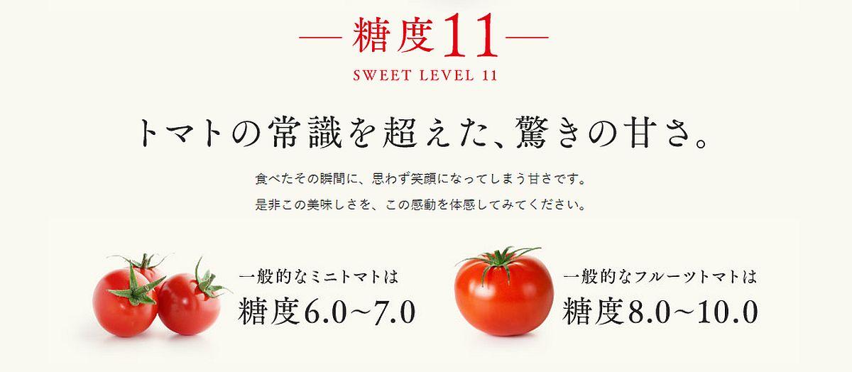tomato2211.jpg