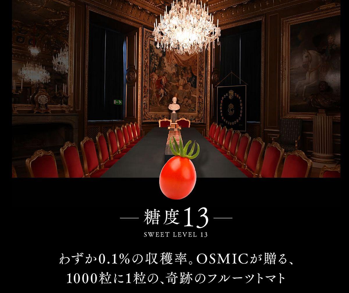 tomato2213-1.jpg